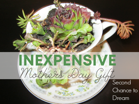 Inexpspensive Mothers Day Gift Second Chance to Dream