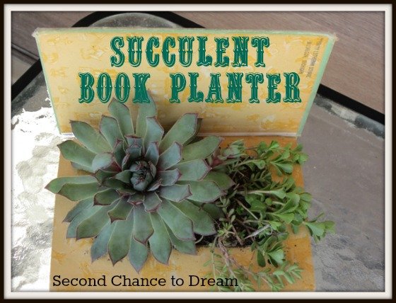 Second Chance to Dream: Succulent Book Planter