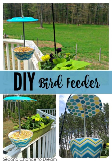 Second Chance to Dream: DIY Bird Feeder