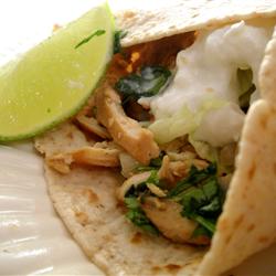 Cilantro Chicken Salad Recipe
