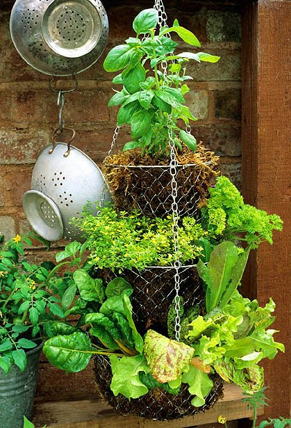 A supended herb garden