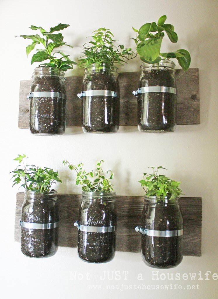 mason jar planter board 747x1024 Mason Jar Wall Planter