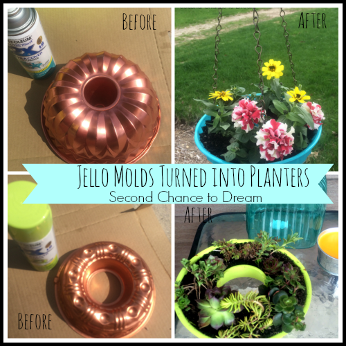 Upcycled Mini Jello Mold Planter Tray - Average But Inspired