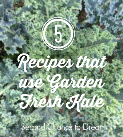 Second Chance to Dream: 5 Recipes that use garden fresh kale #kale #recipe