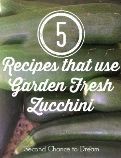 Second Chance to Dream: 5 Recipes that use Garden Fresh Zucchini #zucchini #recipes