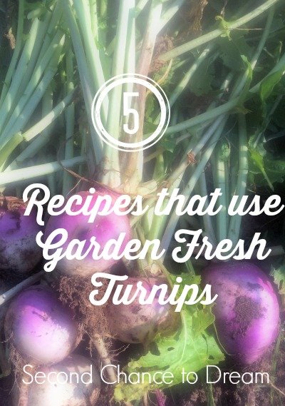 Second Chance to Dream: 5 Recipes that use Garden Fresh Turnips