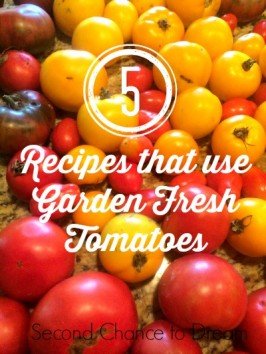 Second Chance to Dream: 5 Recipes that use Garden Fresh Tomatoes #gardenfresh