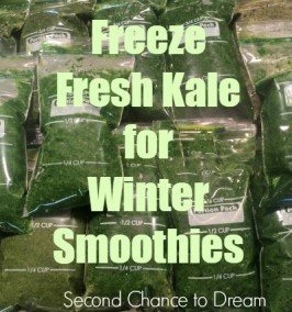 Second Chance to Dream: Freeze Fresh Kale for Winter Smoothies