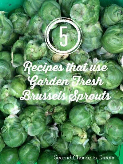 Second Chance to Dream: 5 Recipes that use garden fresh Brussels sprouts