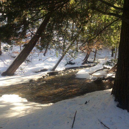 Second Chance to Dream: Venturing out of my safe place #lifelessons #stretch #grow