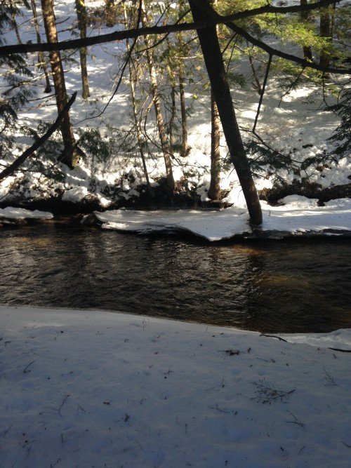 Second Chance to Dream: Venturing out of my safe place #lifelessons #stretch #grow
