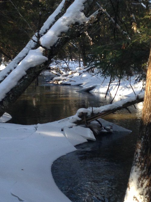 Second Chance to Dream: Venturing out of my safe place #lifelessons #stretch #grow