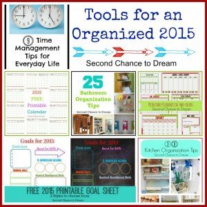 Second Chance to Dream: Tools for an Organized 2015