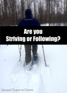 Are you Striving or Following??