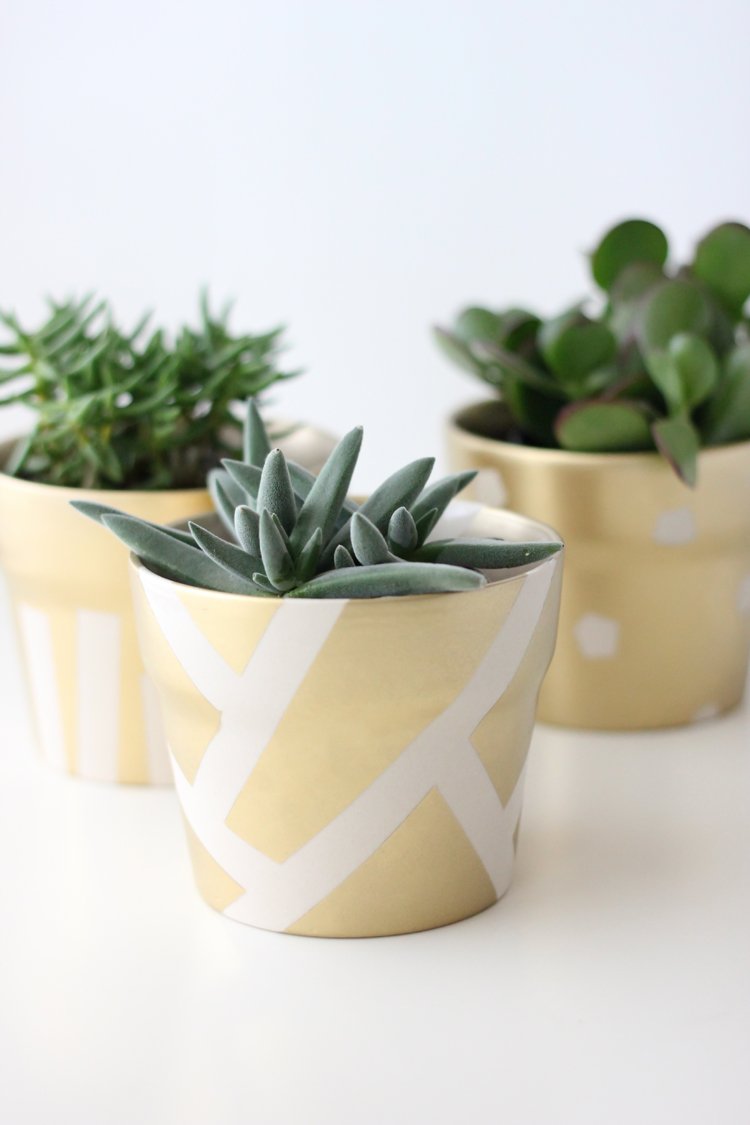 gold pot succulents (27 of 30)