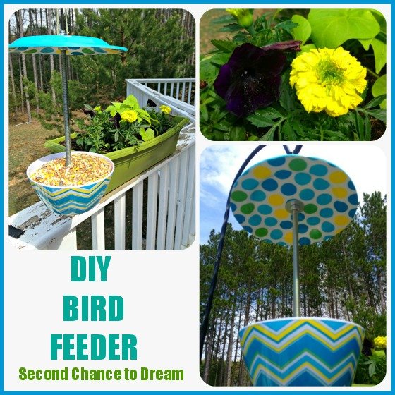 Second Chance to Dream: DIY Bird Feeder