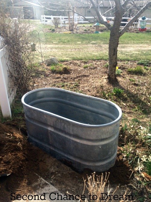 Herb Garden in a Recycled Water Trough.