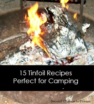 Second Chance to Dream: 15 Tinfoil Recipes perfect for camping