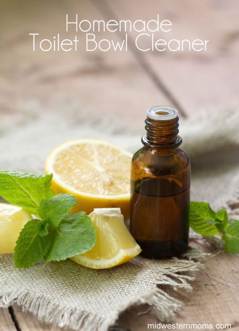 Homemade Toilet Bowl Cleaner