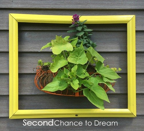 Second Chance to Dream: Cheap ideas to color to your outdoor decor