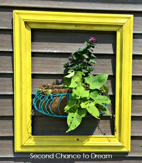 planter 2
