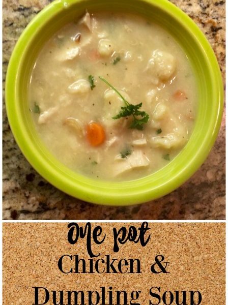 Second Chance to Dream: One Pot Chicken & Dumpling Soup