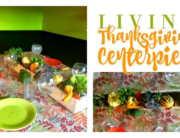 Second Chance to Dream: Living Thanksgiving Centerpiece #Thanksgiving #DIYCenterpiece