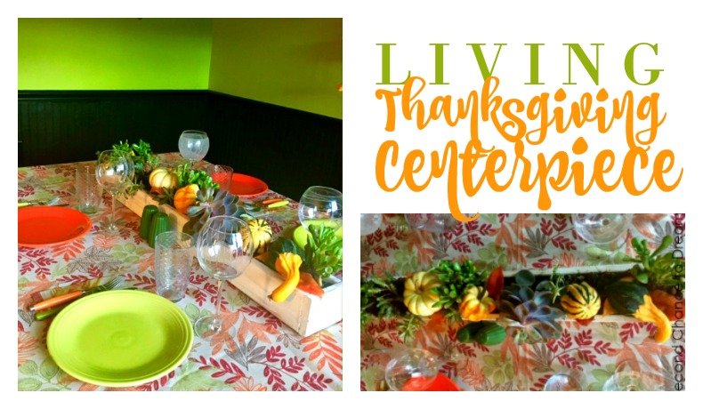 Second Chance to Dream: Living Thanksgiving Centerpiece #Thanksgiving #DIYCenterpiece