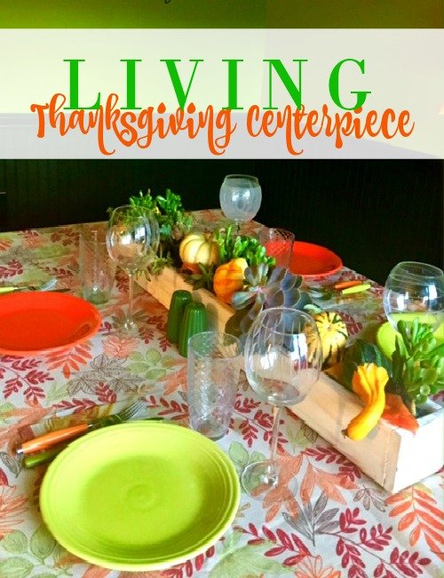 Second Chance to Dream: Living Thanksgiving Centerpiece #Thanksgiving #DIYCenterpiece Check out this Living Thanksgiving Centerpiece that you can change and decorate for every season.