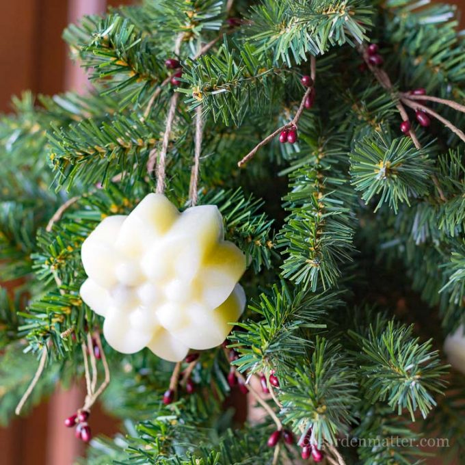 This simple tutorial shows you how to make beautiful scented beeswax ornaments. A great natural way to decorate your holiday tree.