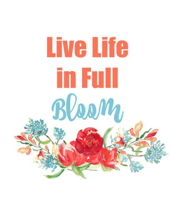 Second Chance to Dream; Live Life in Full Bloom Free Spring Printable is perfect for adding some color to your home for almost next to nothing.