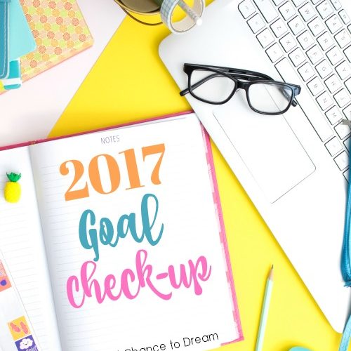Second Chance to Dream: 2017 Goal Check-up