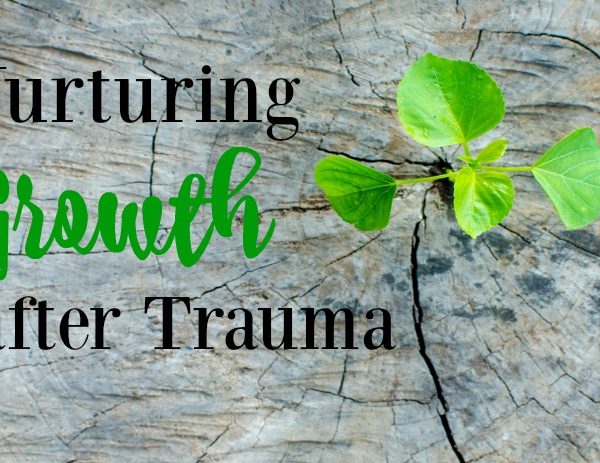 Second Chance to Dream: Nurturing Growth After Trauma #lifelessons