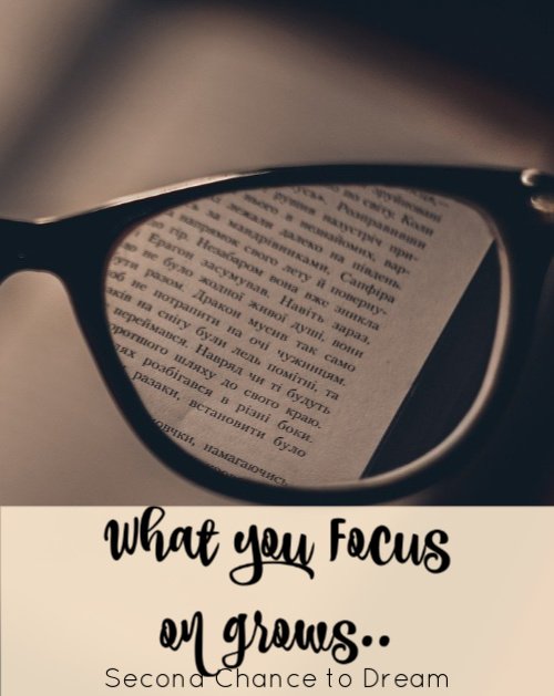 Second Chance to Dream: What you focus on grows.... #focus #thoughtlife #healthymindset